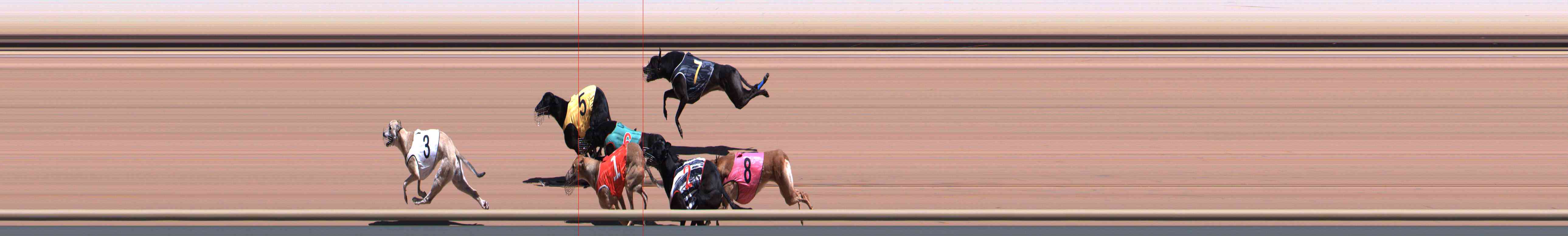 Photo finish for Healesville Race 4