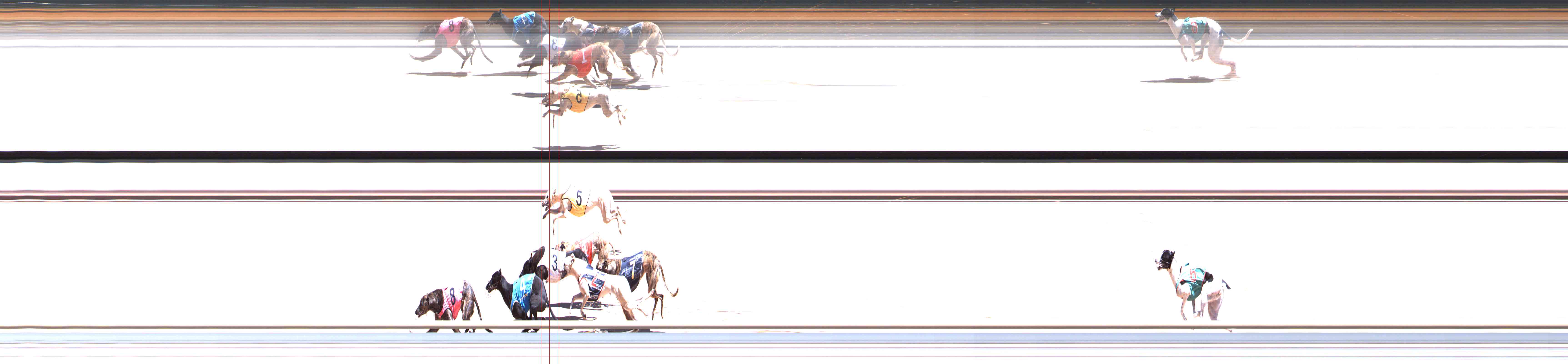 Photo finish for Healesville Race 5