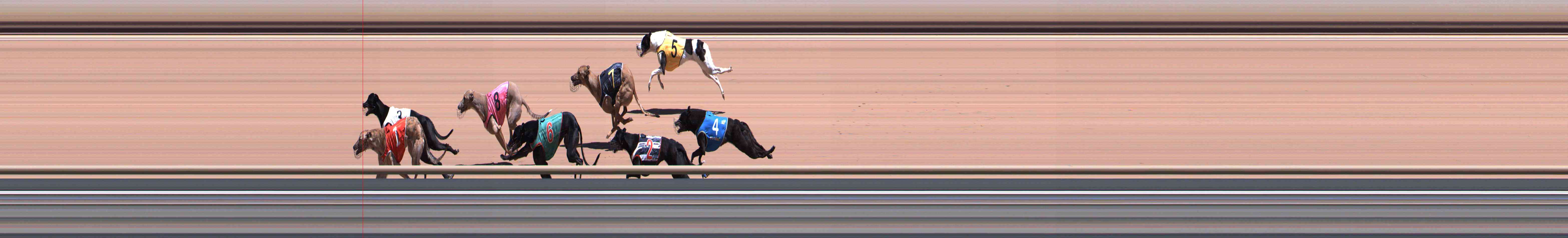 Photo finish for Healesville Race 6
