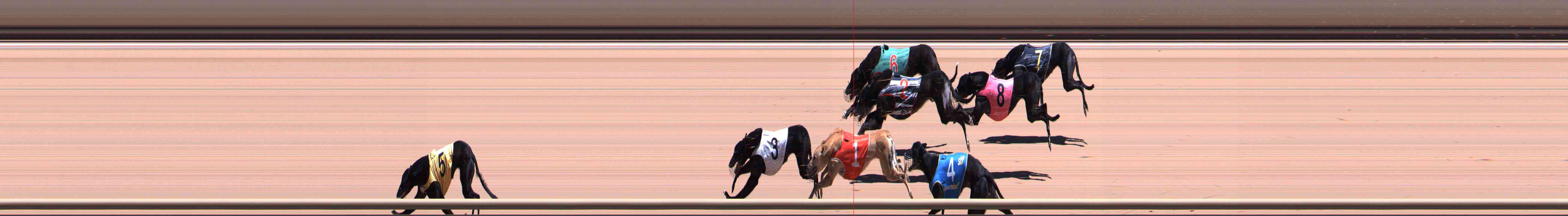 Photo finish for Healesville Race 8