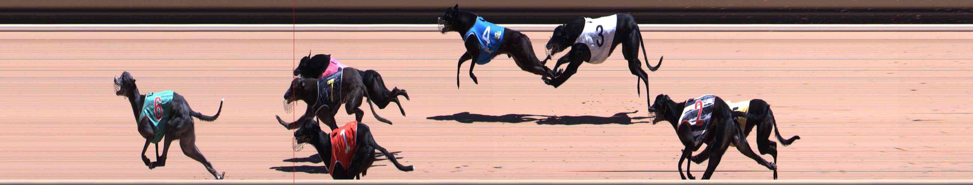Photo finish for Healesville Race 9
