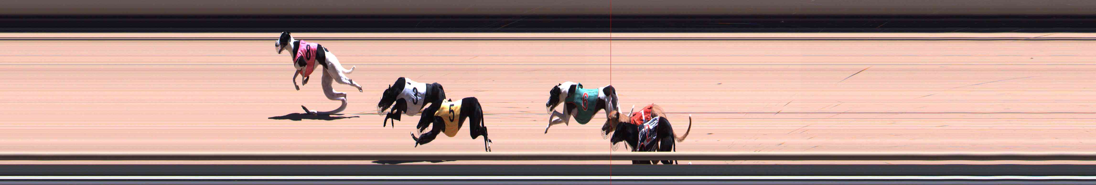 Photo finish for Healesville Race 10