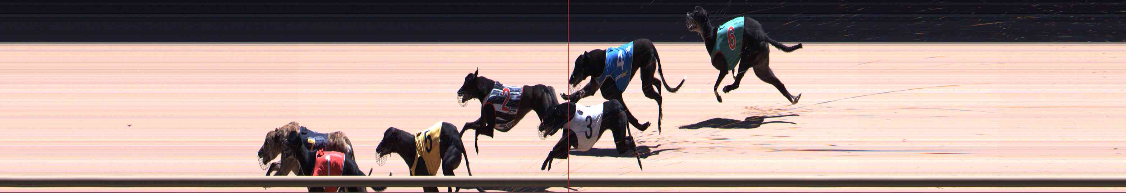 Photo finish for Healesville Race 12