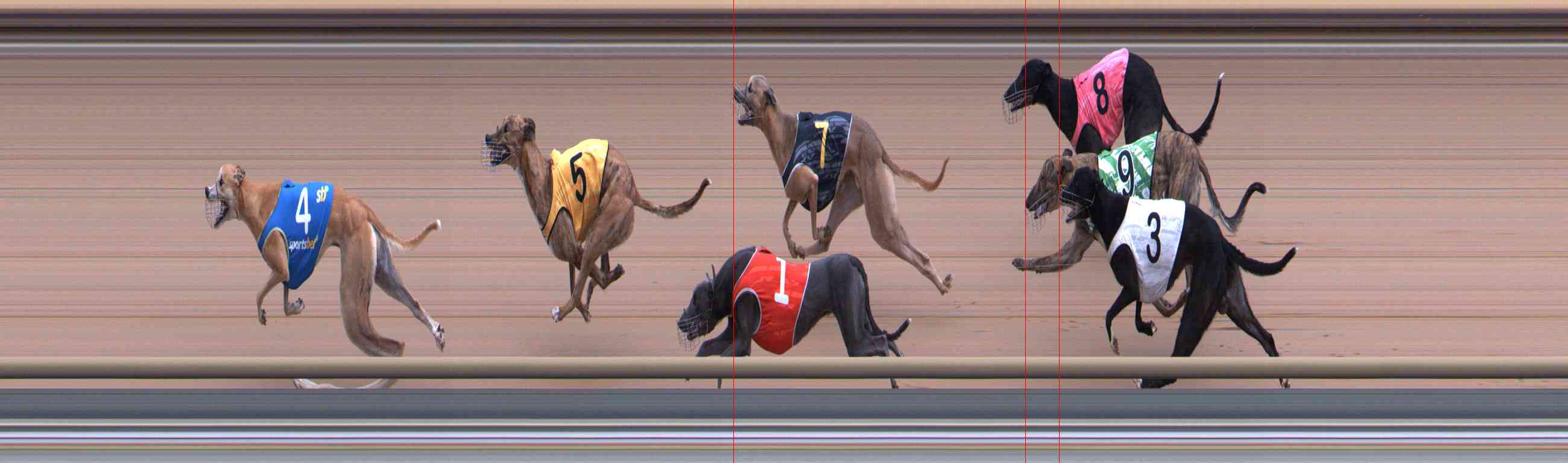 Photo finish for Healesville Race 2