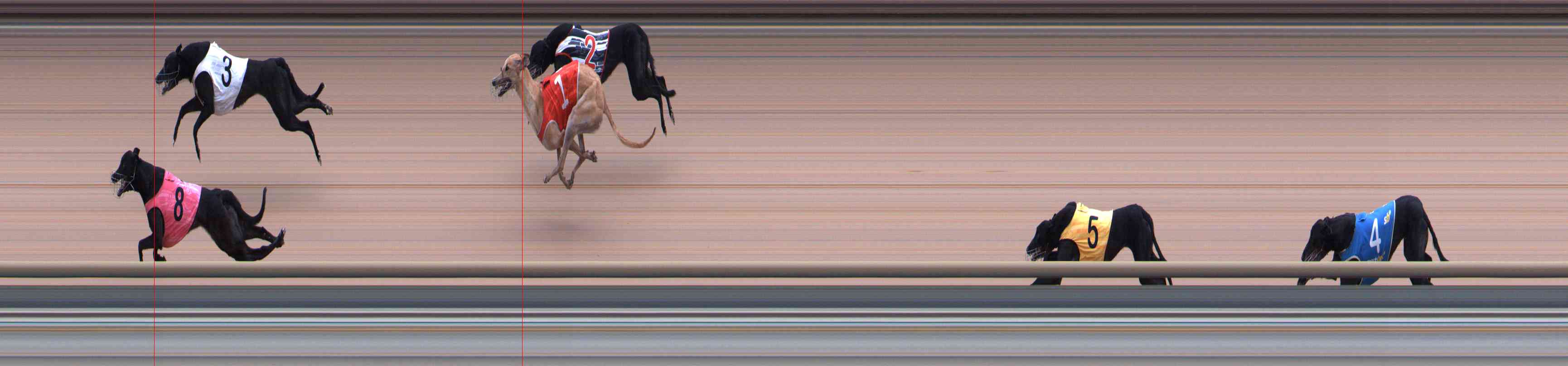 Photo finish for Healesville Race 4
