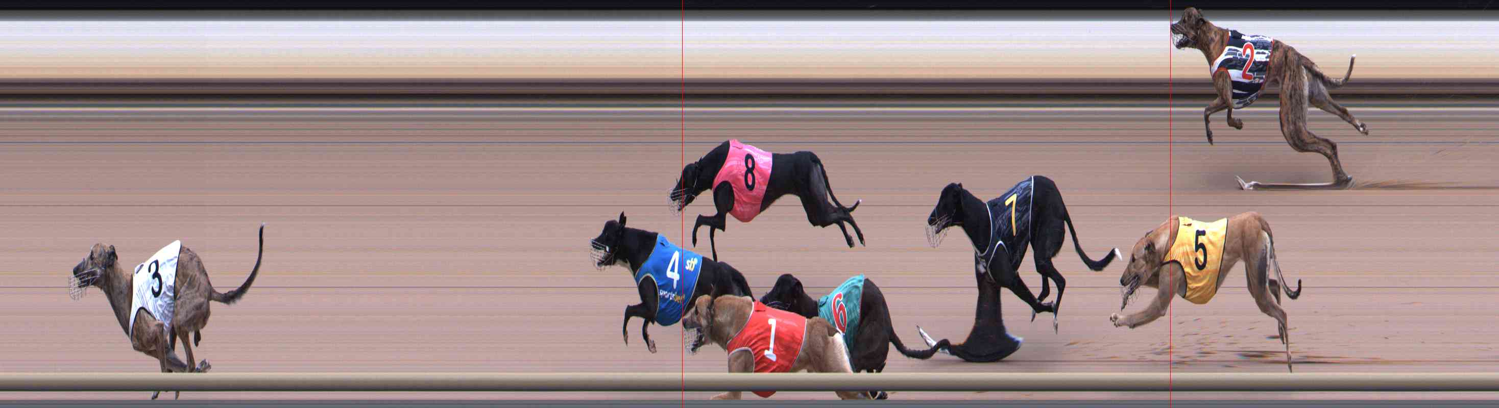 Photo finish for Healesville Race 5