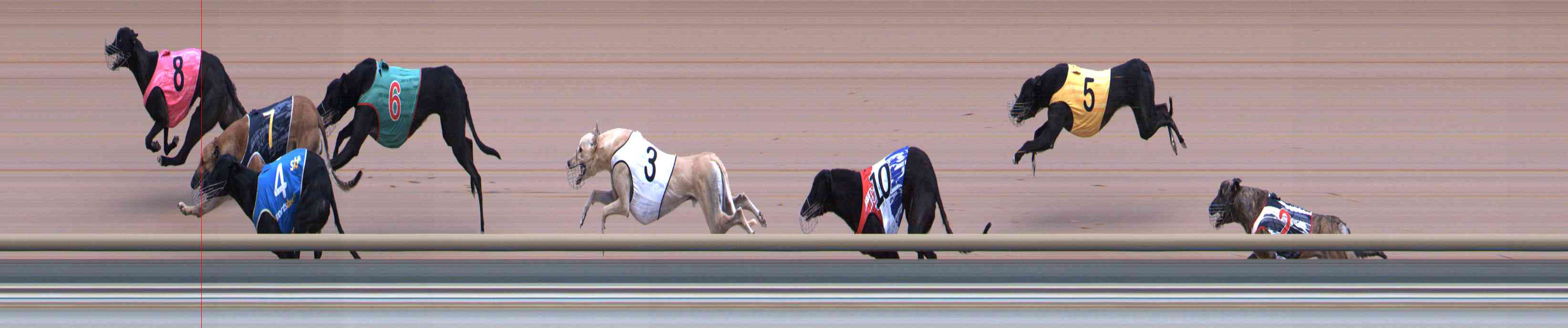 Photo finish for Healesville Race 6
