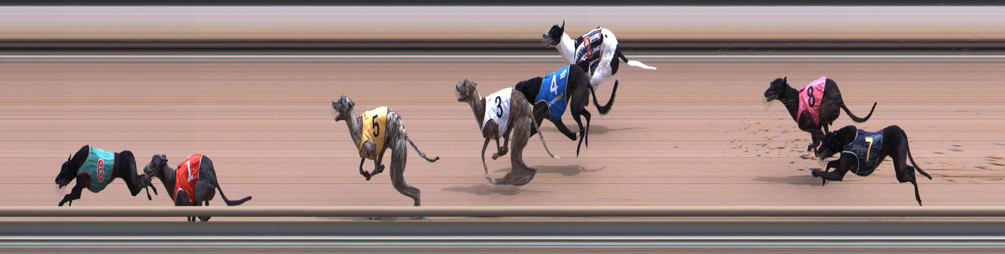 Photo finish for Healesville Race 7