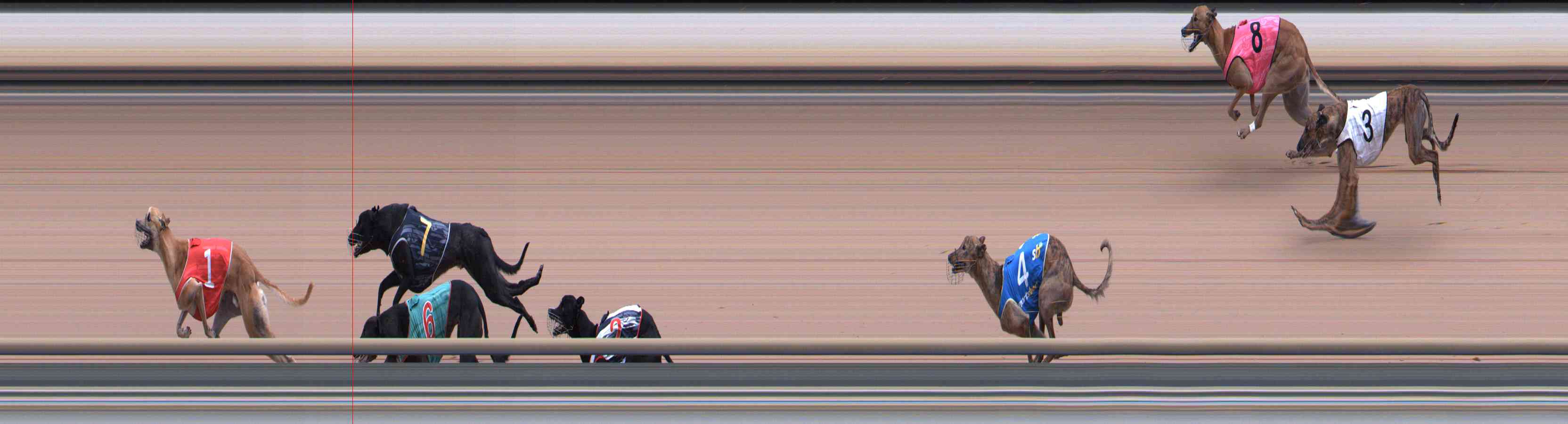 Photo finish for Healesville Race 8