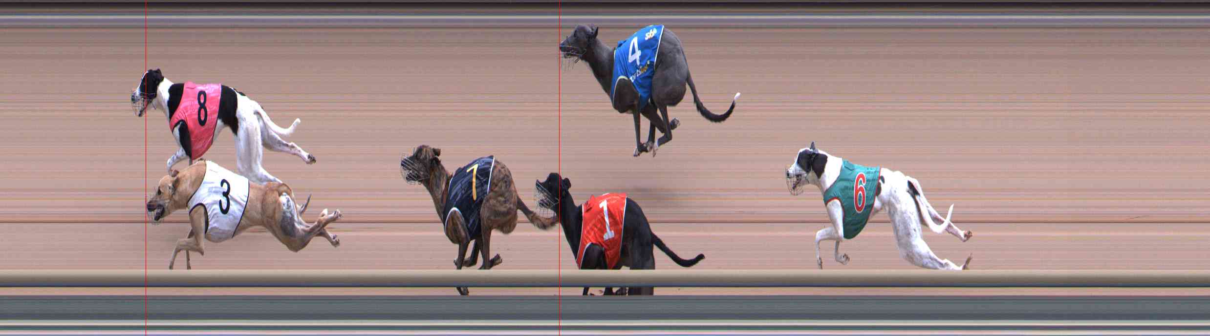 Photo finish for Healesville Race 9