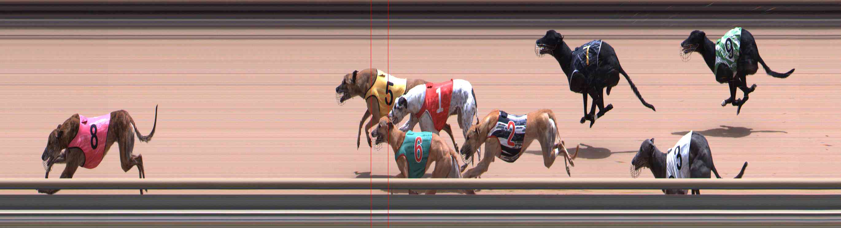 Photo finish for Healesville Race 10