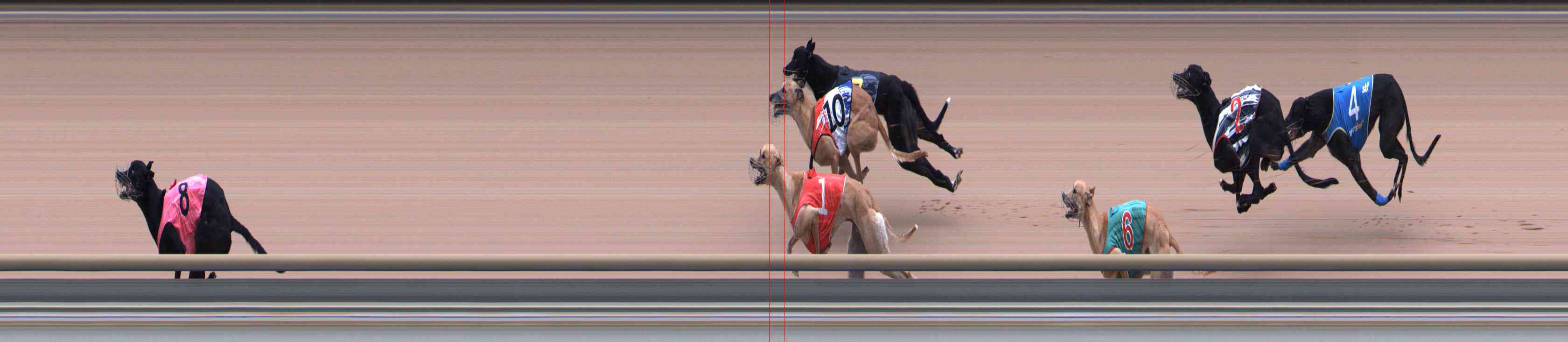 Photo finish for Healesville Race 11