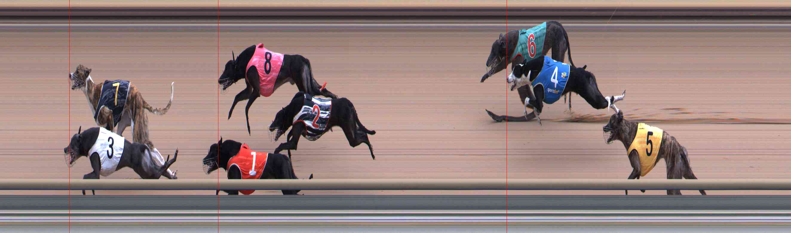 Photo finish for Healesville Race 12