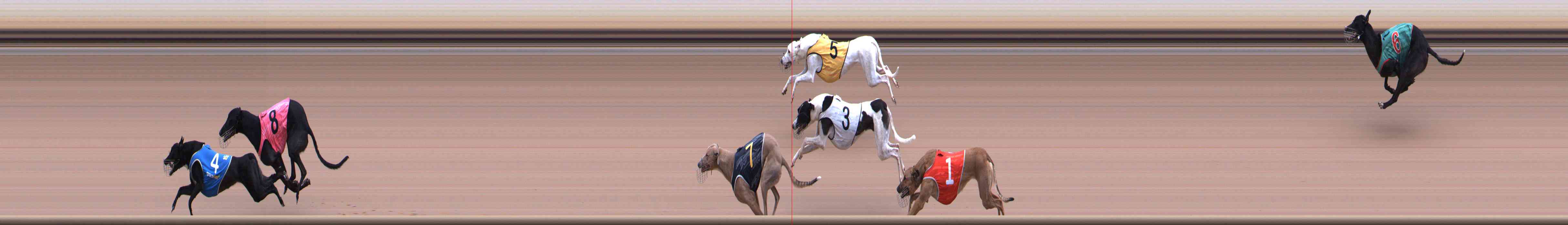 Photo finish for Healesville Race 6