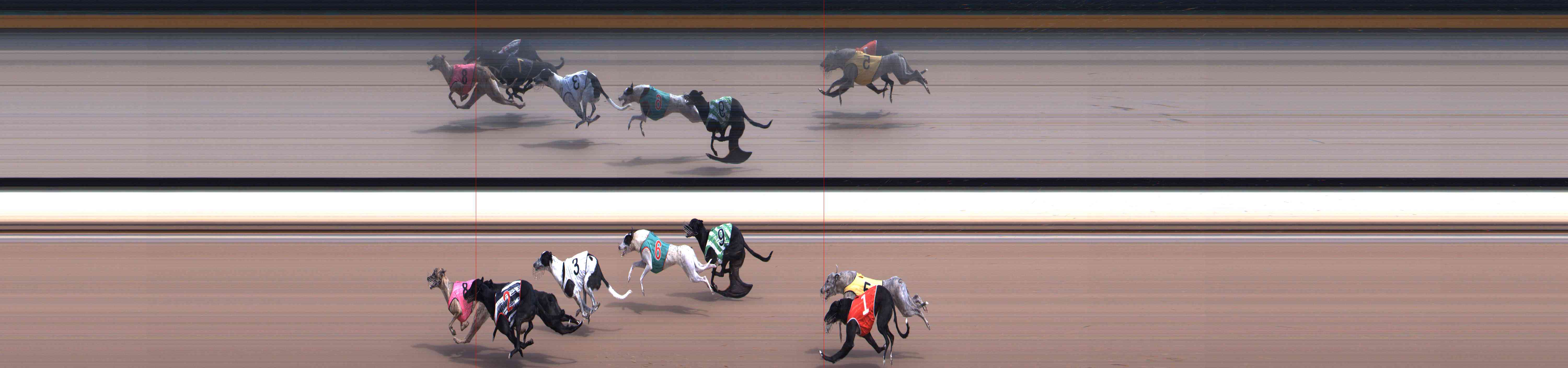Photo finish for Healesville Race 2