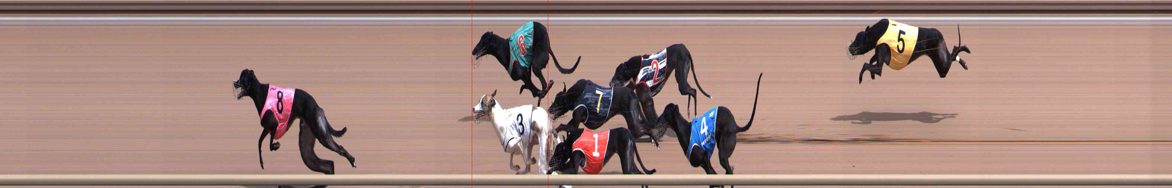 Photo finish for Healesville Race 3