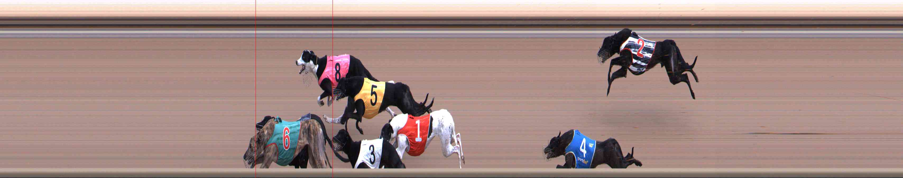Photo finish for Healesville Race 4