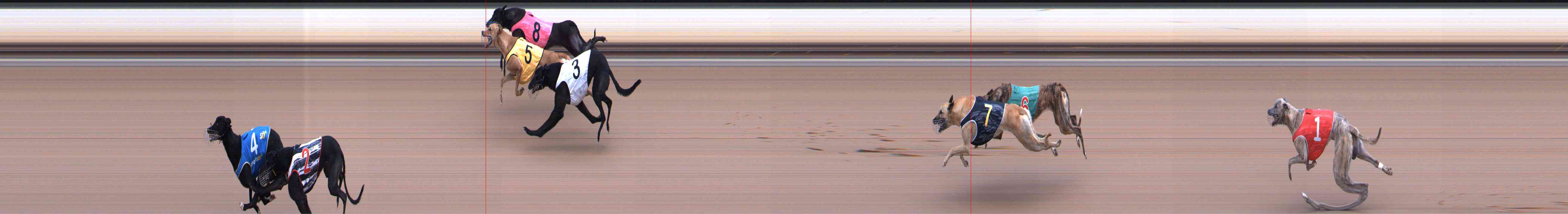 Photo finish for Healesville Race 5