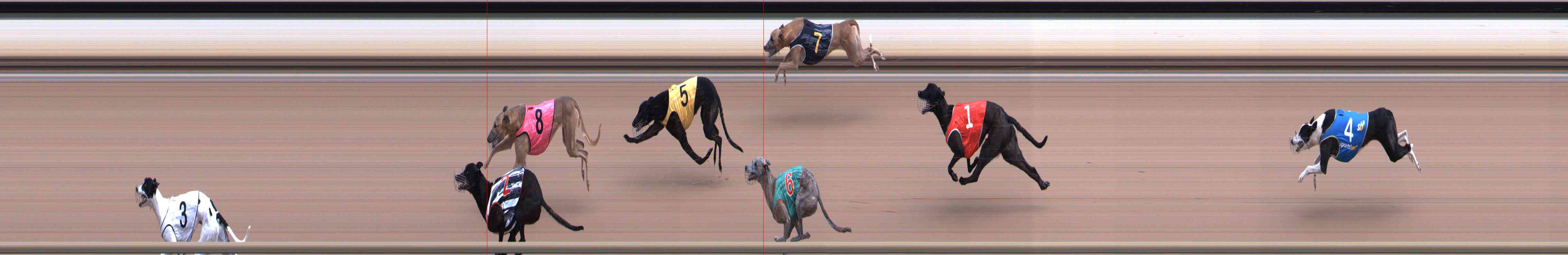Photo finish for Healesville Race 6