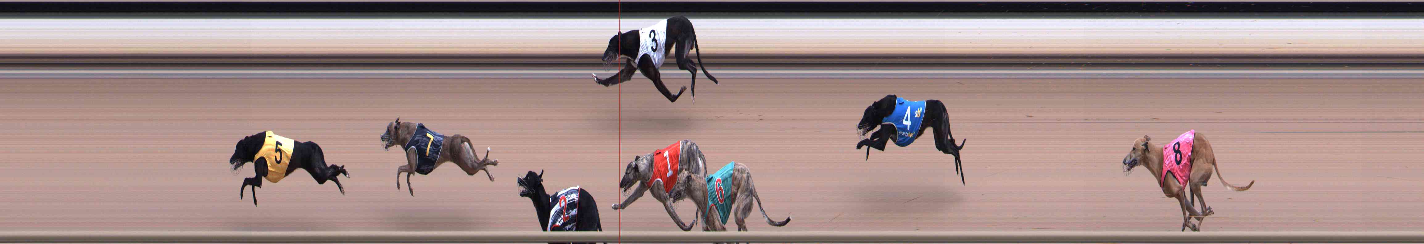 Photo finish for Healesville Race 7
