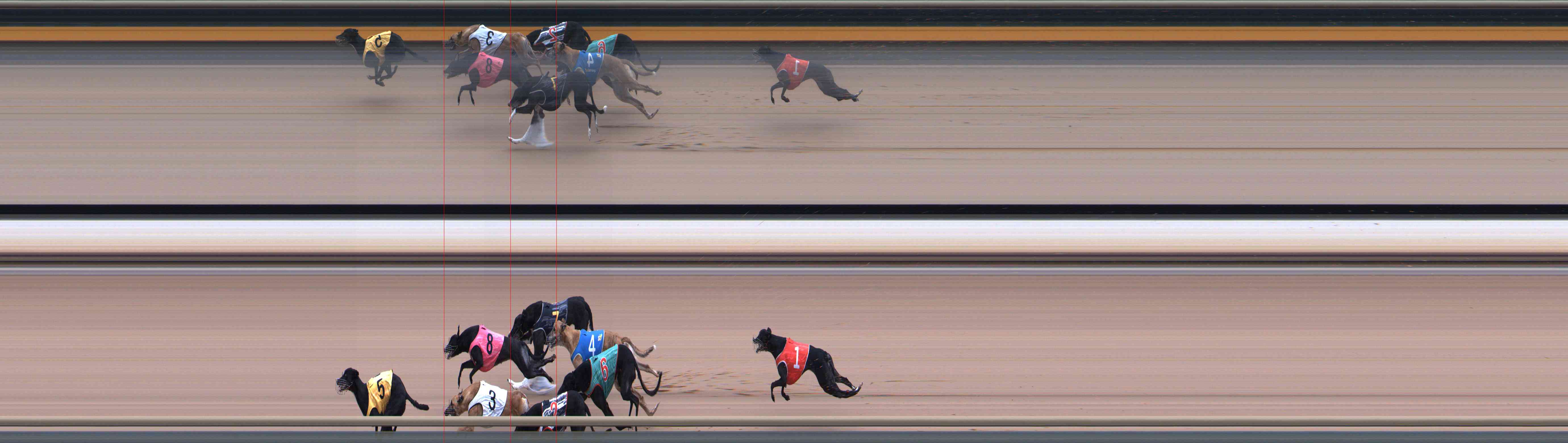 Photo finish for Healesville Race 9
