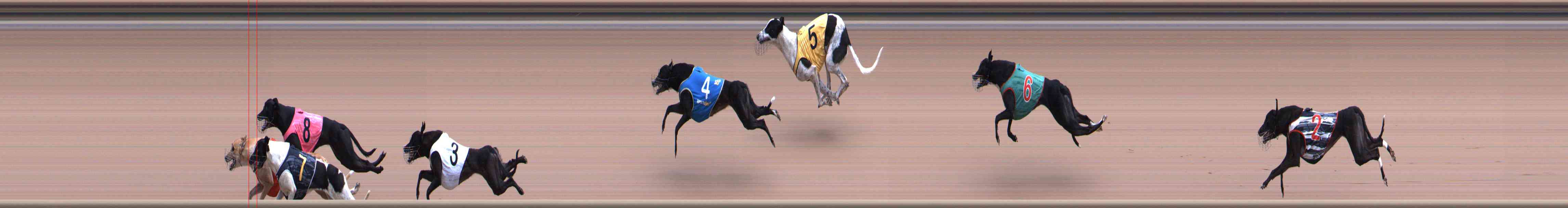 Photo finish for Healesville Race 10