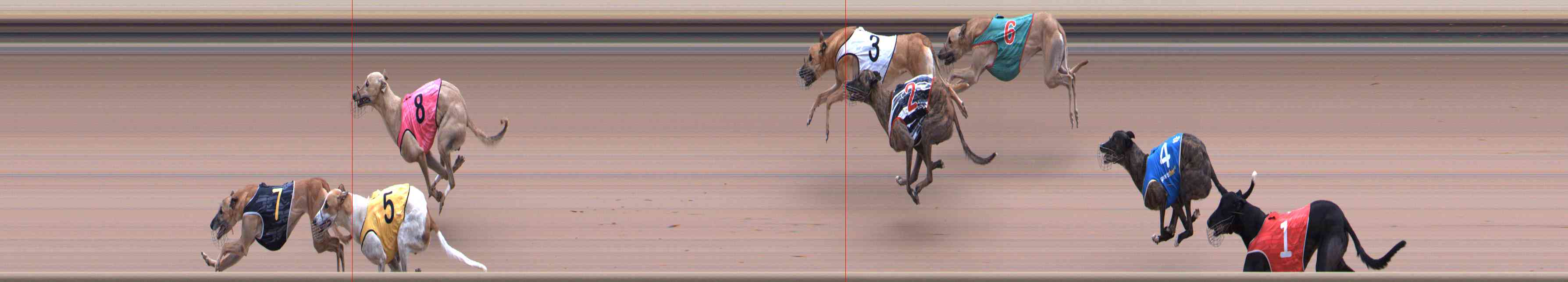 Photo finish for Healesville Race 11