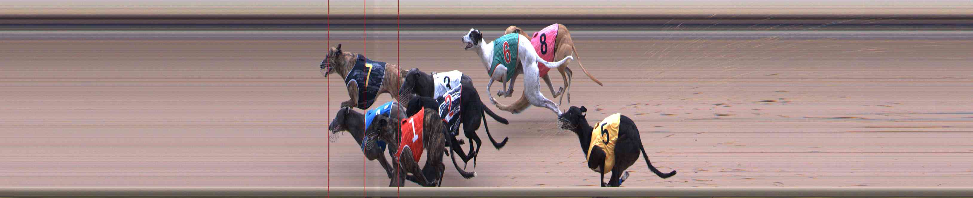 Photo finish for Healesville Race 12