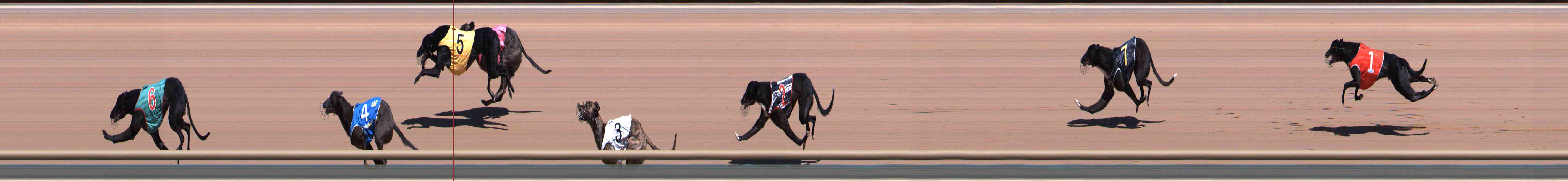 Photo finish for Healesville Race 2