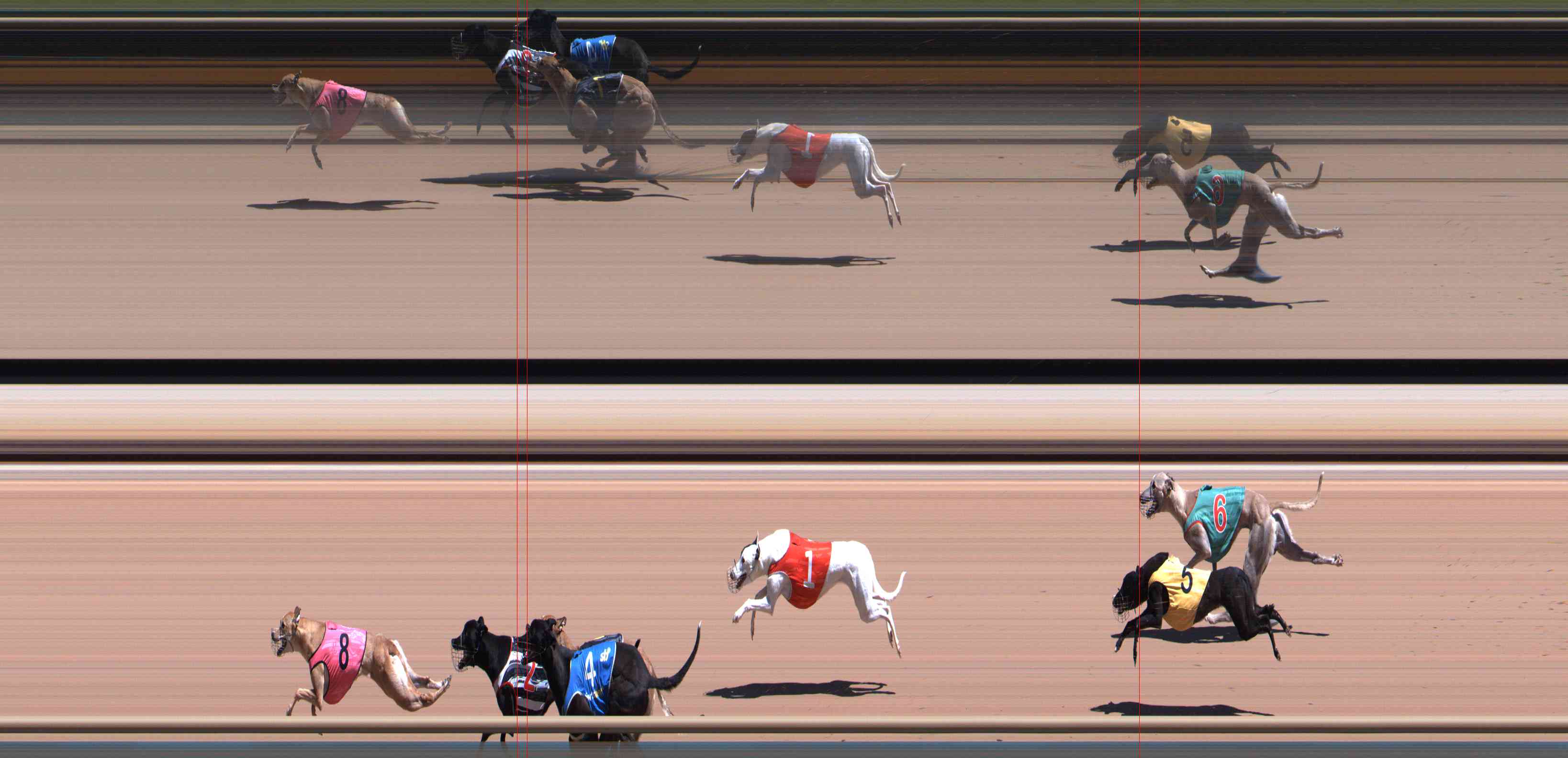 Photo finish for Healesville Race 4
