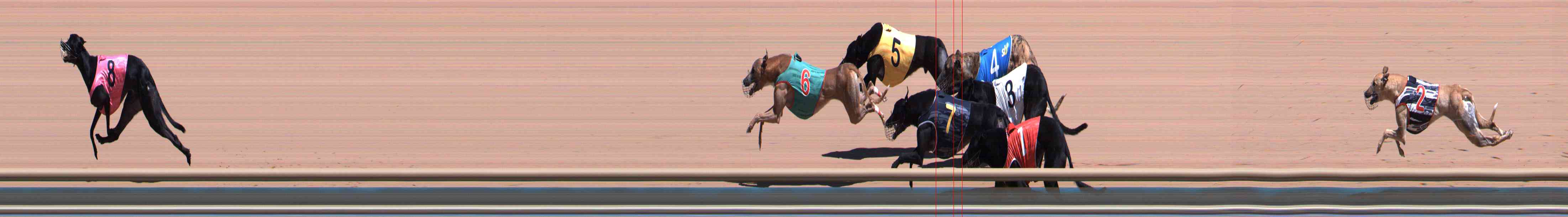 Photo finish for Healesville Race 5