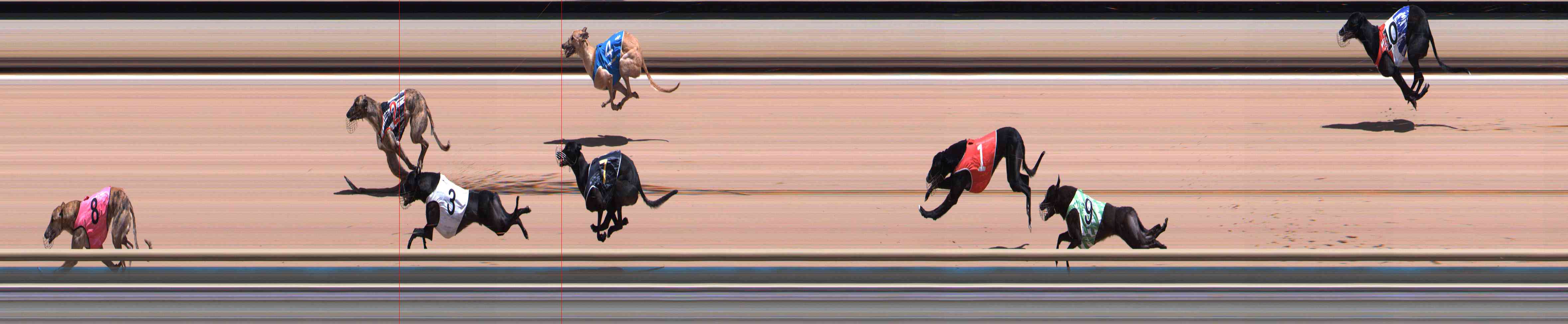 Photo finish for Healesville Race 6