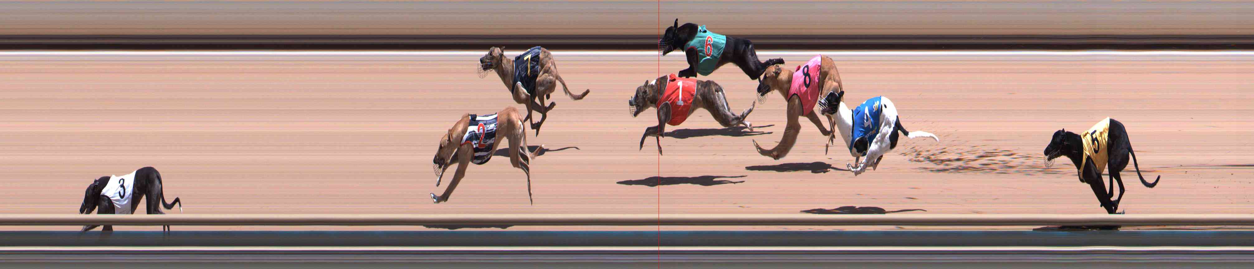 Photo finish for Healesville Race 7