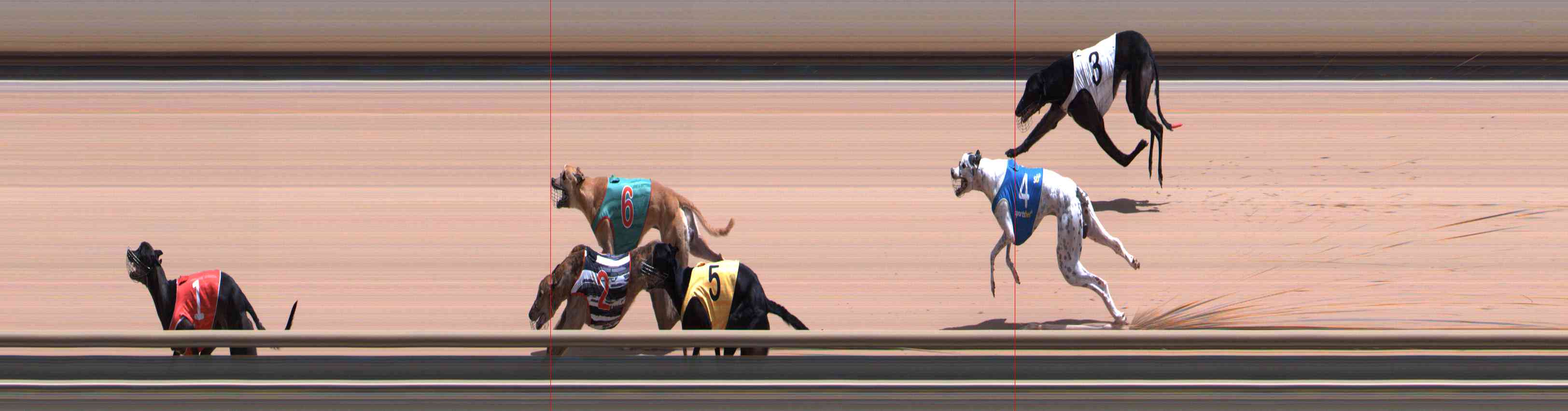 Photo finish for Healesville Race 8