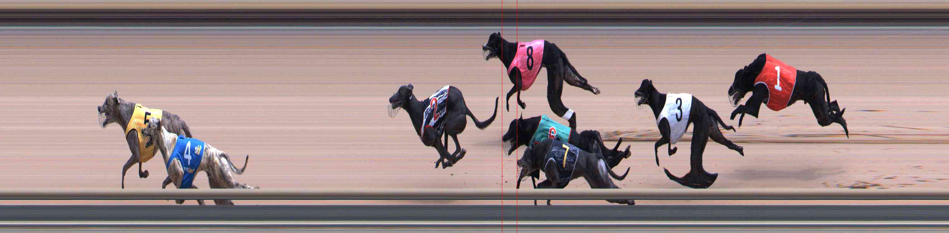 Photo finish for Healesville Race 9
