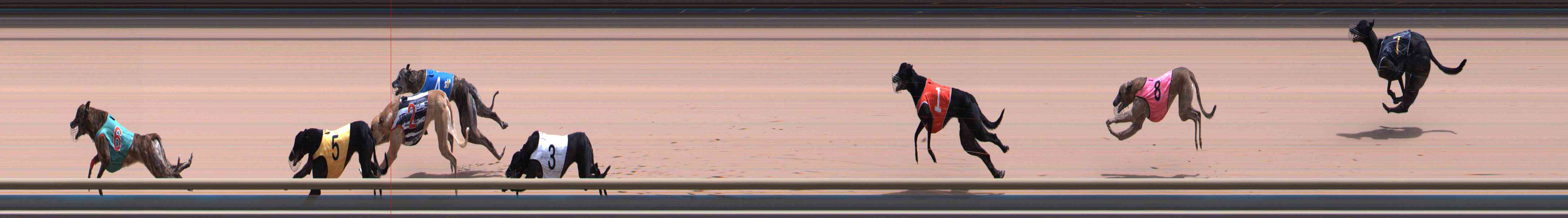 Photo finish for Healesville Race 10