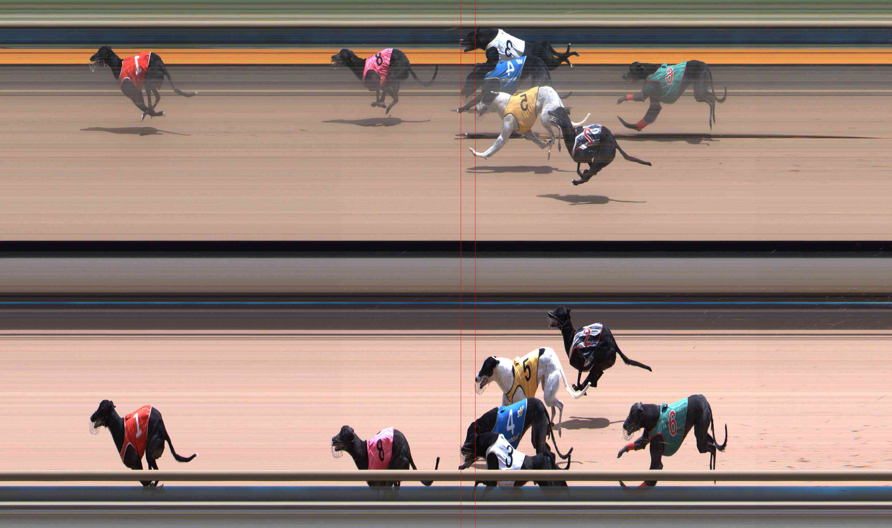 Photo finish for Healesville Race 11