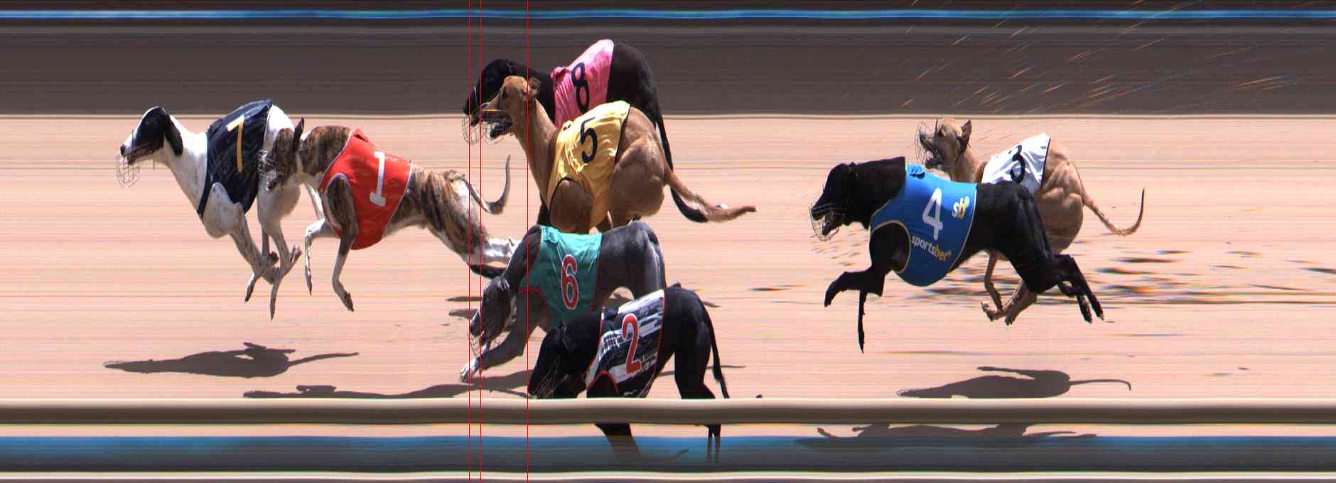 Photo finish for Healesville Race 12