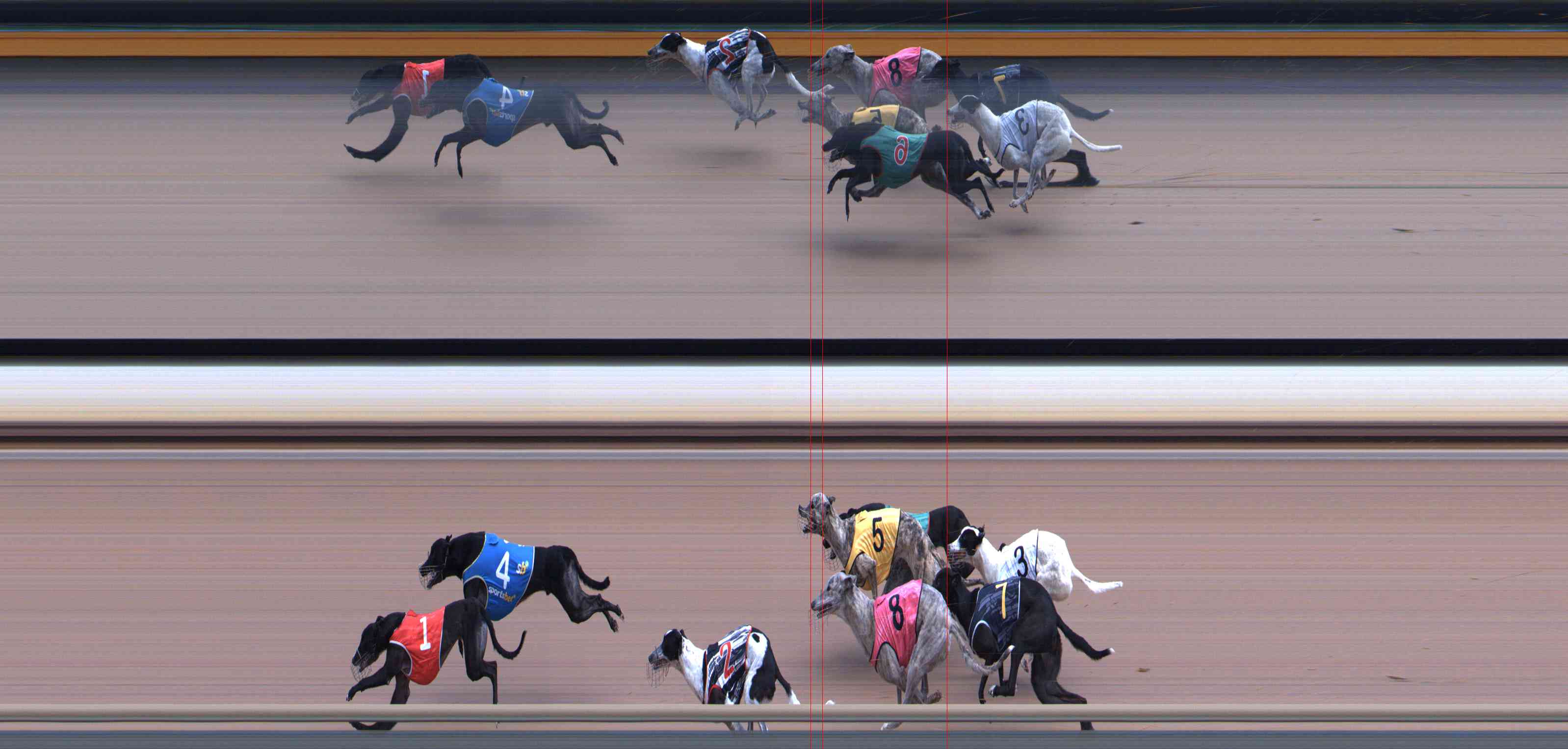 Photo finish for Healesville Race 2