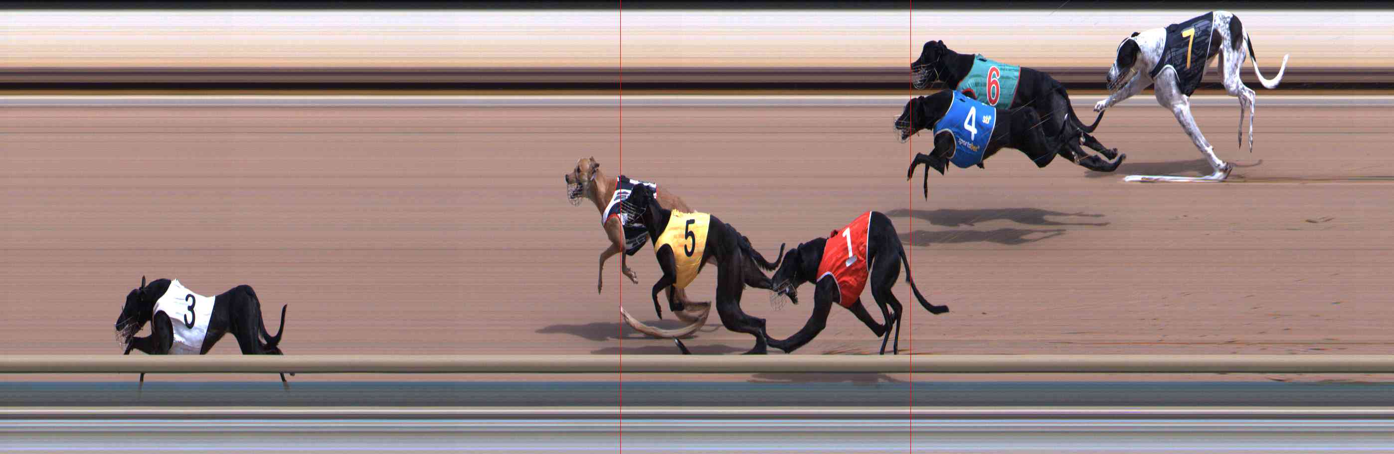 Photo finish for Healesville Race 3