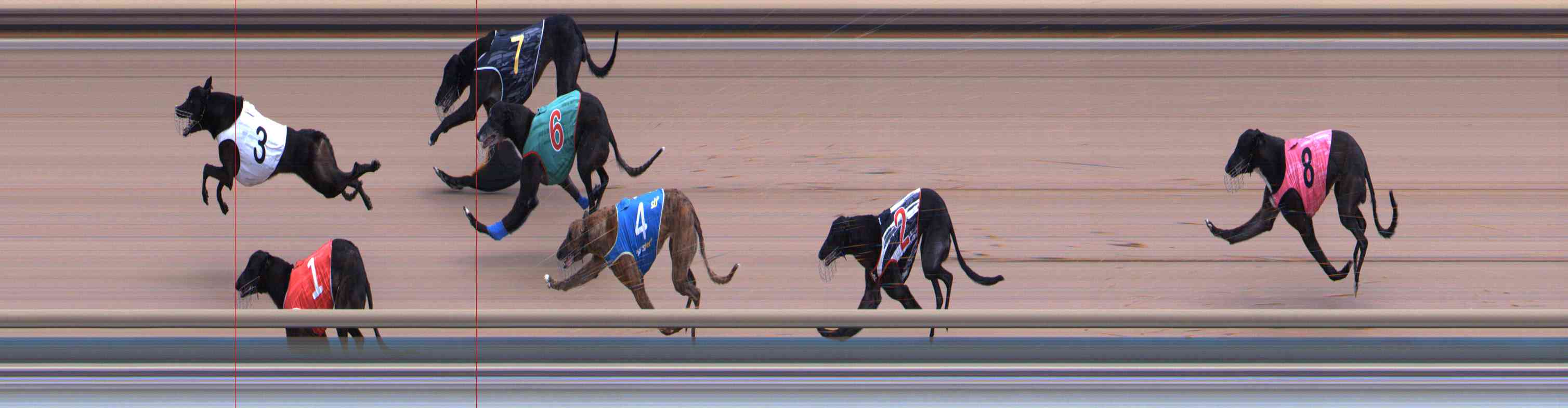 Photo finish for Healesville Race 5