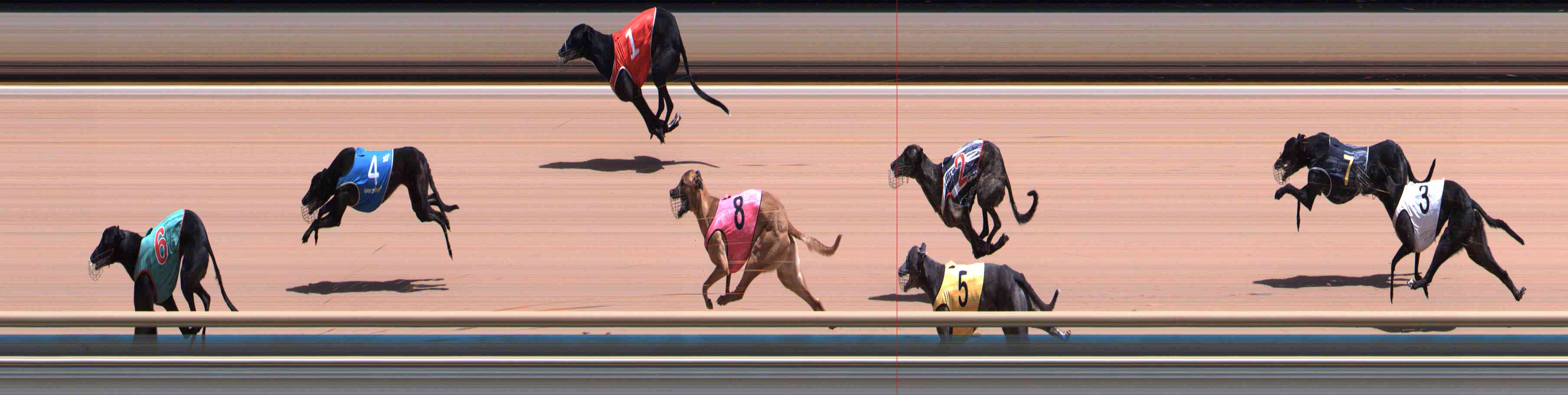 Photo finish for Healesville Race 6