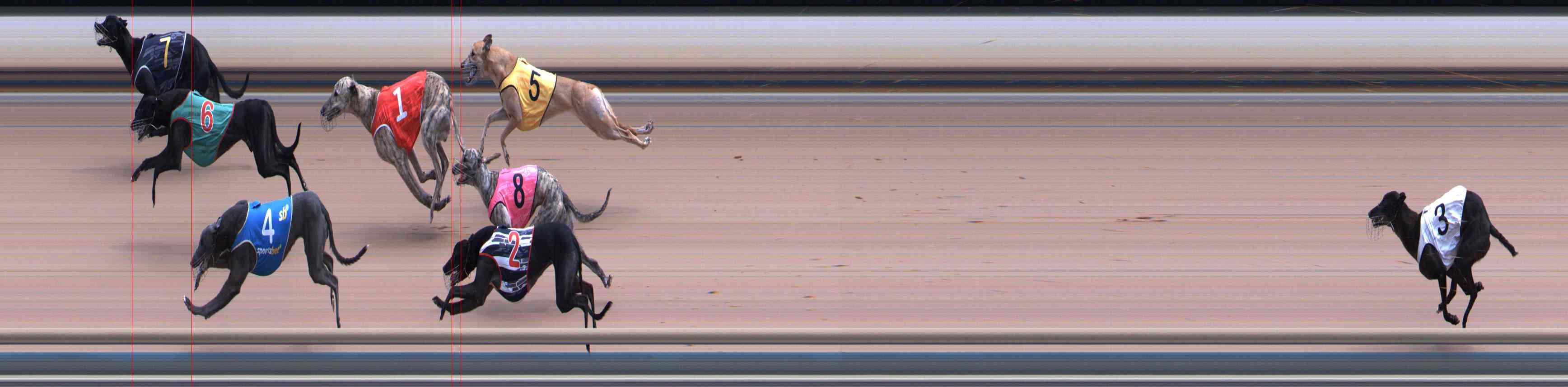 Photo finish for Healesville Race 7