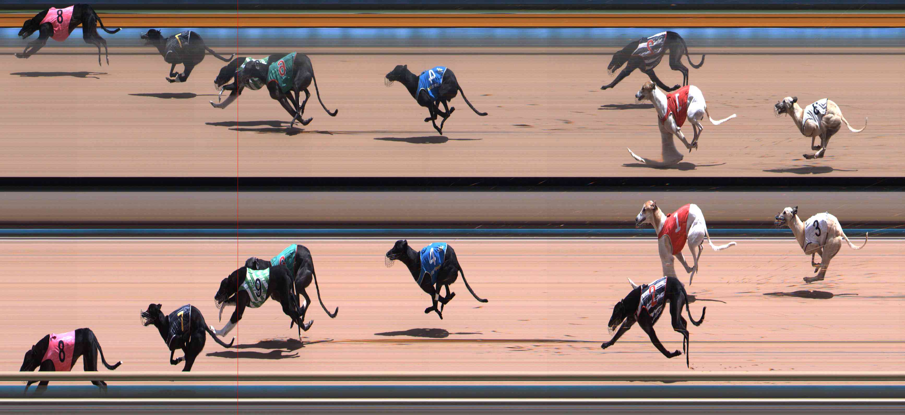 Photo finish for Healesville Race 8