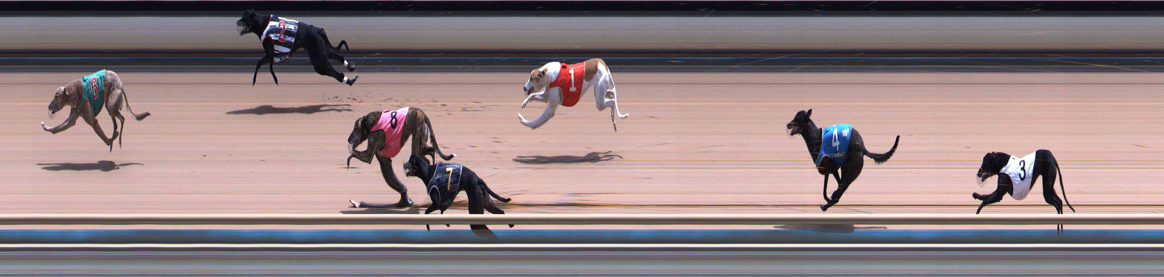 Photo finish for Healesville Race 9