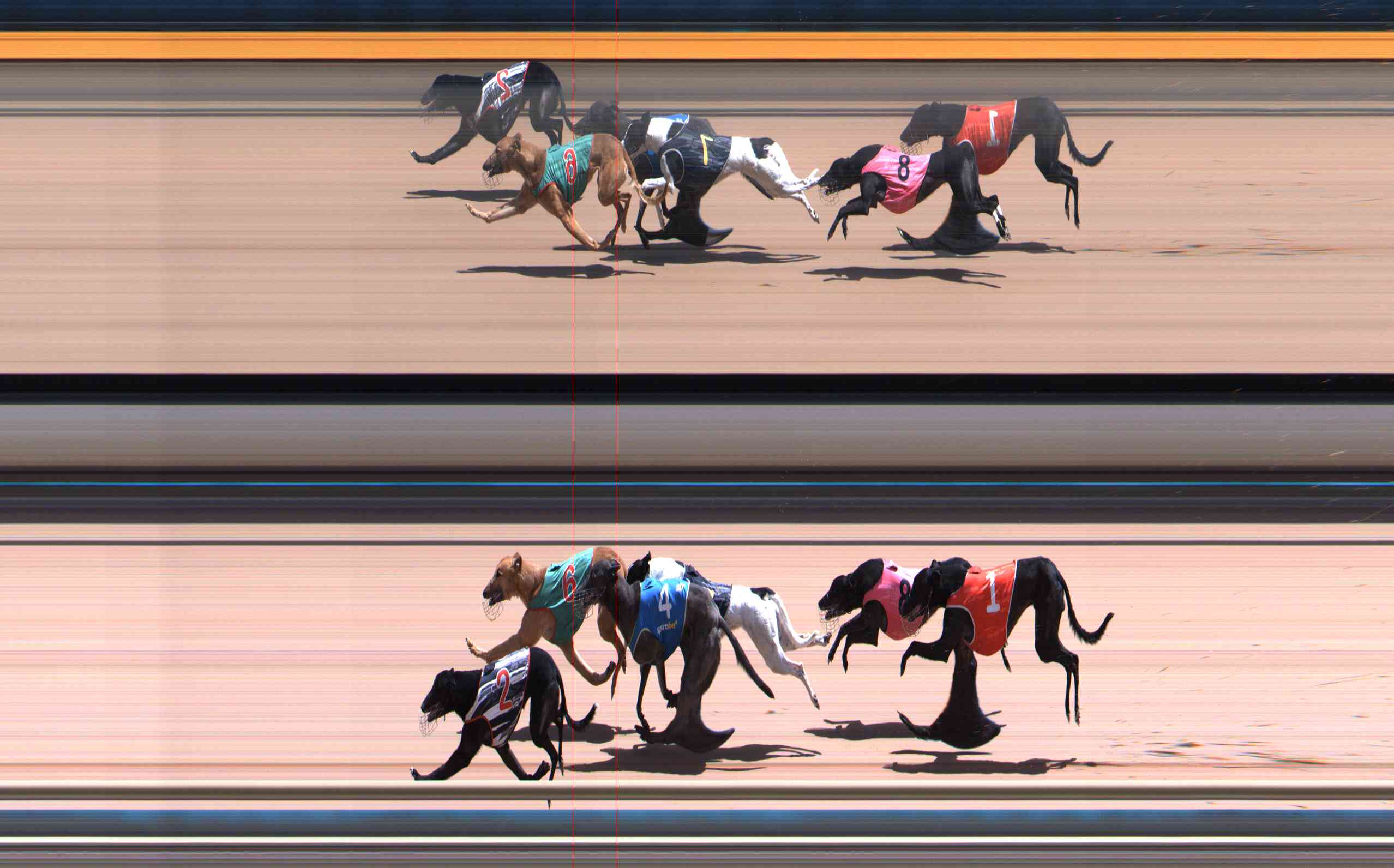 Photo finish for Healesville Race 10