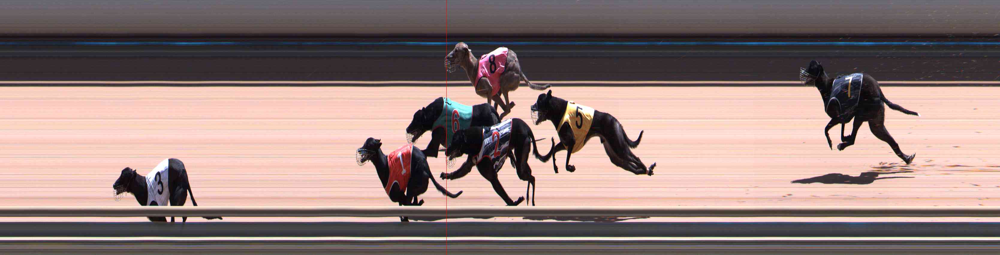 Photo finish for Healesville Race 11