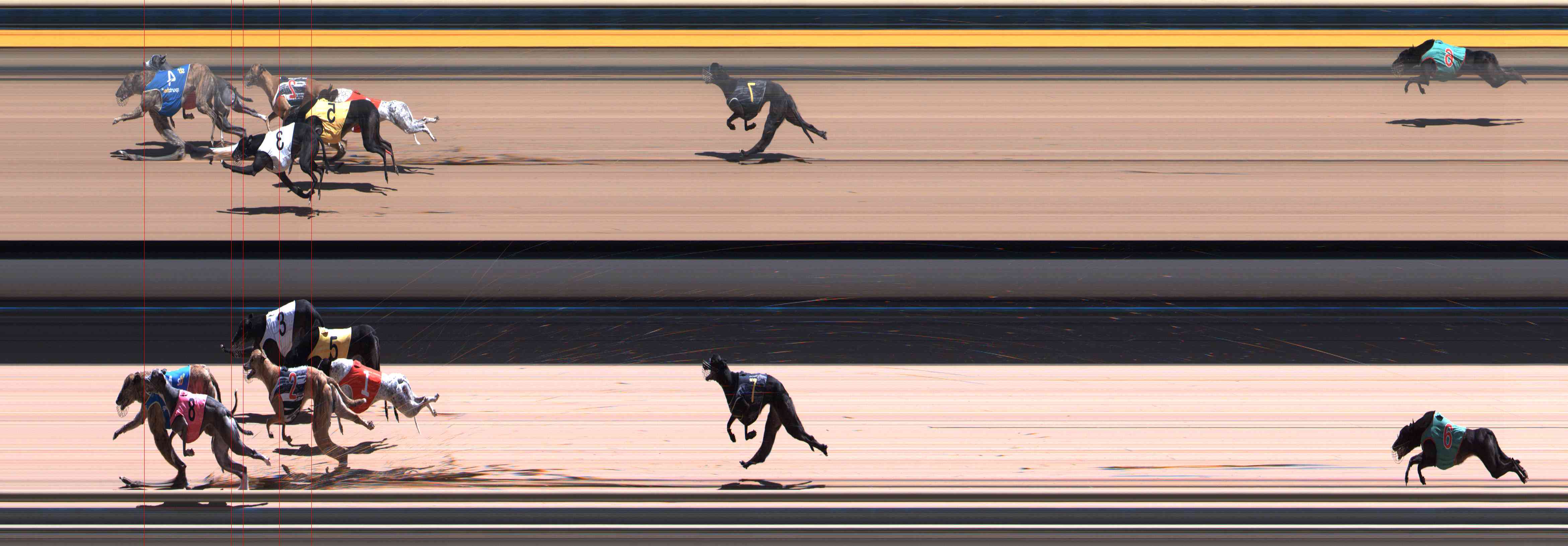 Photo finish for Healesville Race 12