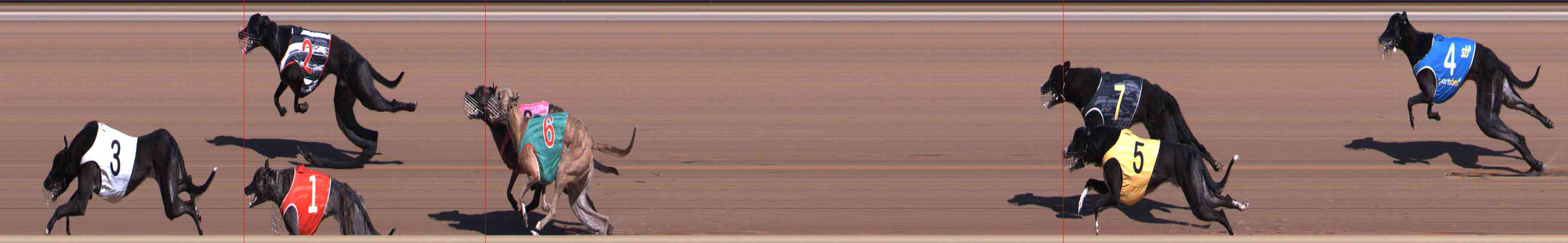 Race result finish photo