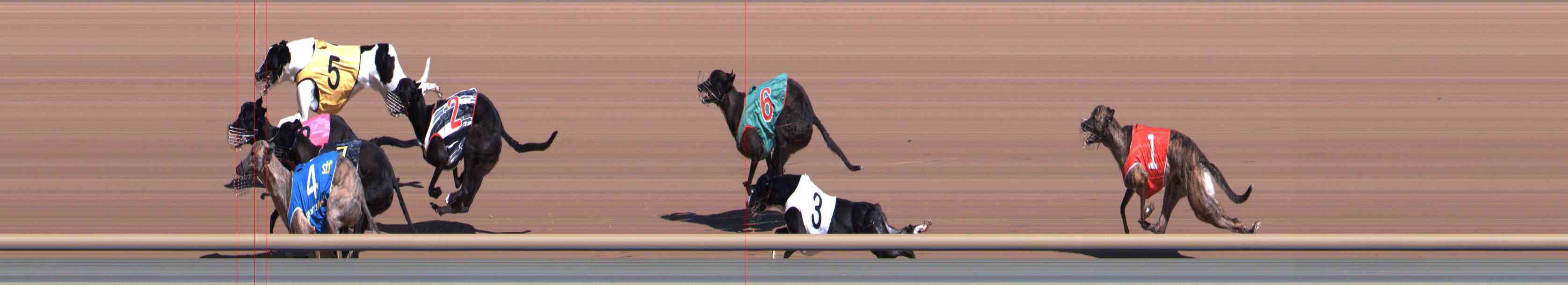 Photo finish for Healesville Race 3